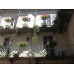 Magnolia 3*