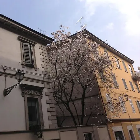Magnolia Panzió