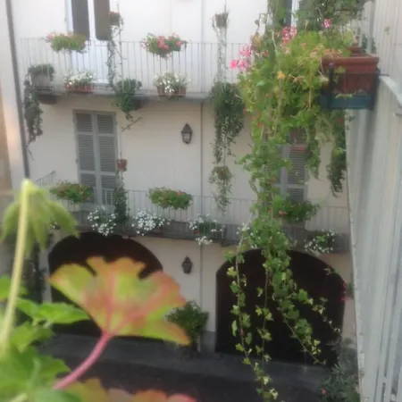 Magnolia Casale Monferrato