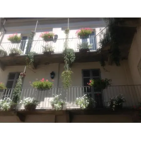 Magnolia 3*