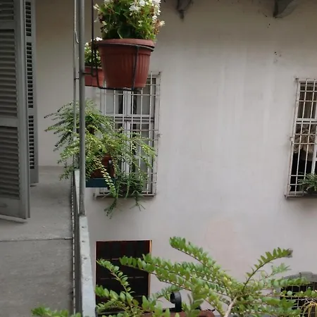 Magnolia 3*