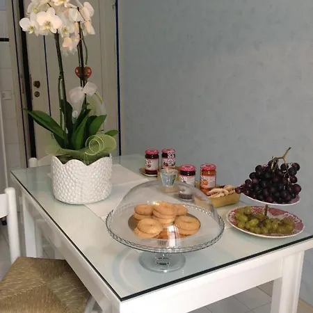 Magnolia فندق مبيت وإفطار